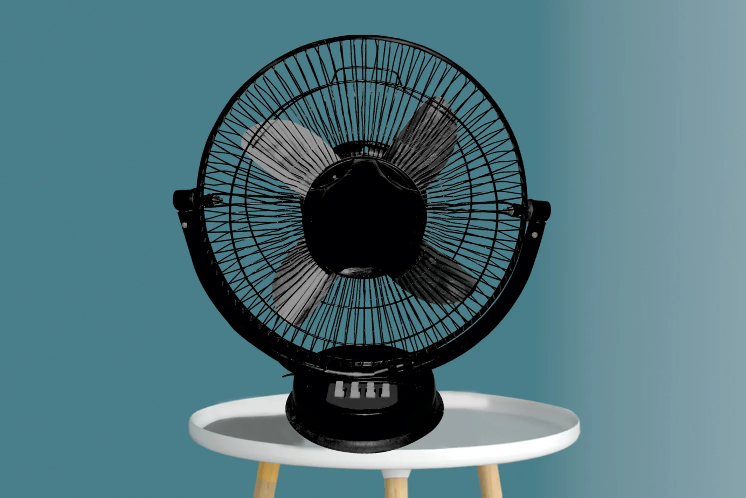 All Purpose Fan